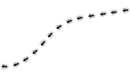 Obraz premium Curved trail of worker ants. Insect path forming a winding line. Ant background element for design and decoration. Simple vector illustration on a white background.