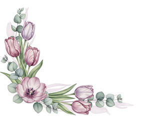 Botanical luxury watercolor corner element with tulips and eucalyptus in dusty rose and lavender isolated on white background
