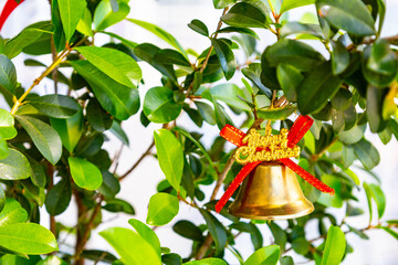 Gold Christmas  Bell Ornaments Hanging on Green Pine Tree Branch