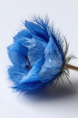 Close Up Blue Flower With Glitter