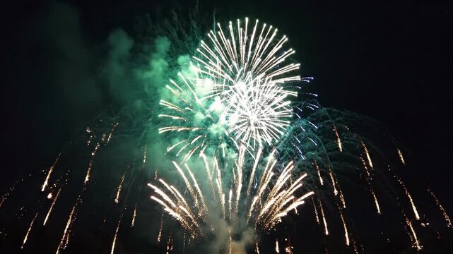 Fireworks explode in night sky display.
