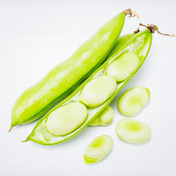 Fresh Broad Beans Isolated on White Background, Vicia faba Green Pod Legume Concept