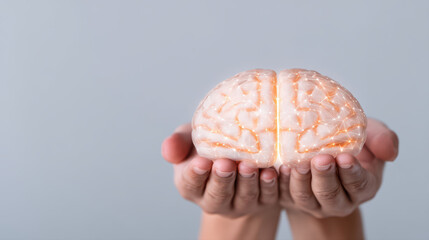 Brain model neural network held in hands glowing connection pattern conveying innovation and care, concept of artificial intelligence and medical research nurturing human cognition