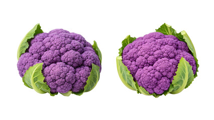 Purple cauliflower with leaves; set of 2 cauliflower heads isolated on transparent background 