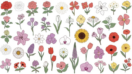 Fototapeta premium Vector illustration of diverse flowers and plants in bloom featuring a prominent sunflower, various petals and foliage