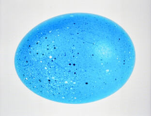 Bright Blue Bird Egg Isolated on White Background Representing Biotic Life and Natural Reproduction Concept