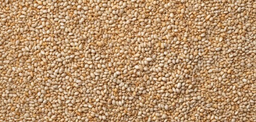 Roasted white sesame seeds on white background top view,  seeds, white sesame seeds,  crunchy