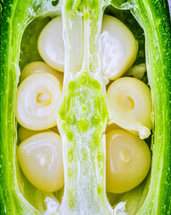 Close up okra cross section showing natural plant texture and organic vegetable pattern