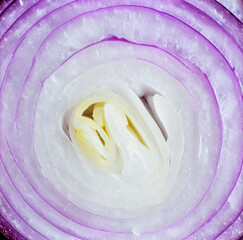 Close up onion layers showing natural vegetable texture and organic food detail