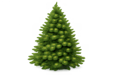 Green fir tree standing upright, providing a seasonal christmas holiday design element with blank copy space, transparent background