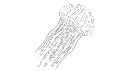 Detailed Scientific Illustration of a Jellyfish with Transparent Bell and Long Tentacles for © Anisah