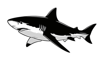 Fototapeta premium Detailed Illustration of a Great White Shark Highlighting Its Anatomical Features and Predatory