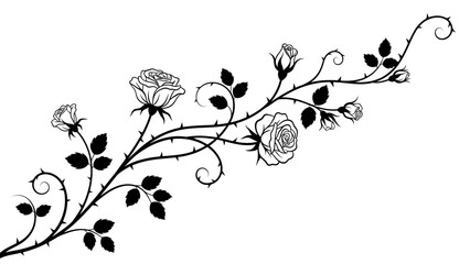 Elegant black floral vine illustration with detailed roses and swirling stems