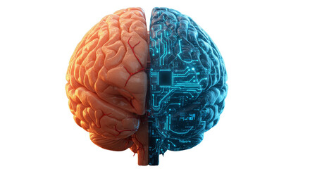 Brain hemispheres: The split image showcases the contrasting sides of the human brain, symbolizing thought processes and the intersection of technology.