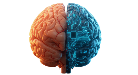 Brain hemispheres: The split image showcases the contrasting sides of the human brain, symbolizing thought processes and the intersection of technology.