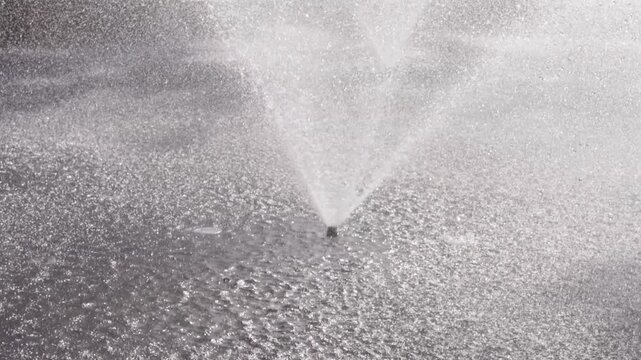 Close up view of splashing fountain in pond in sunny day, 4k slow motion footage b roll shot, backlit effect.