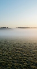Fototapeta premium Peaceful, empty landscape shrouded in soft, thick morning fog, suggesting tranquility and space for quiet reflection, minimalism, simple, calm