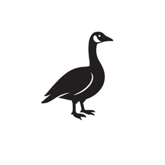 Canada Goose &ndash; Facts, Habitat, Behavior, and Migration