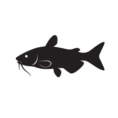 Catfish &ndash; Facts, Types, Habitat, and Benefits