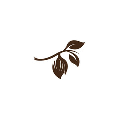 cacao fruit logo as a raw material for chocolate