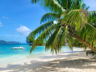 Tranquil beach on La Digue island in Seychelles