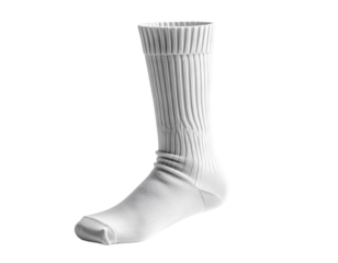 Foot and leg anatomical study illustration with transparent background