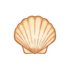 cute shell design very cool