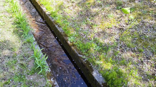 堰を流れる水に映る満開の桜
