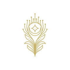 Abstract peacock feather logo with star and crescent moon