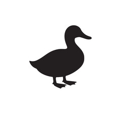 Complete Guide to Ducks: Breeds, Care, Habitat, and Feeding Tips