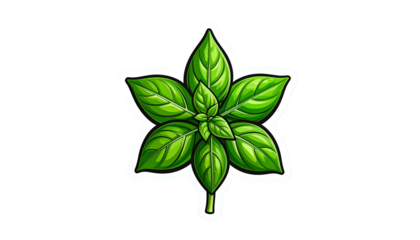 Vibrant Green Basil Leaf Illustration on Transparent Background with White Outline