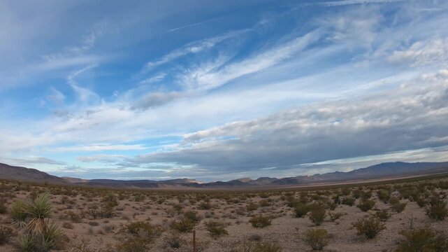 A desert offroad road with dirt surface and sagebushes in Nevada, USA. Driving through the dirty desert road while on a USA road trip