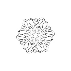Fototapeta premium abstract flower background