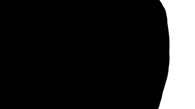 First, a dot or spot flickers and expands on the sides. Then, this object fills the image completely, creating a transition effect.