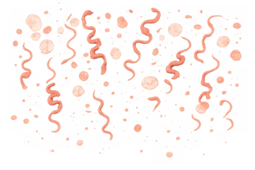 Pink confetti and streamers falling on transparent background, celebrating party, birthday, event, festive occasion