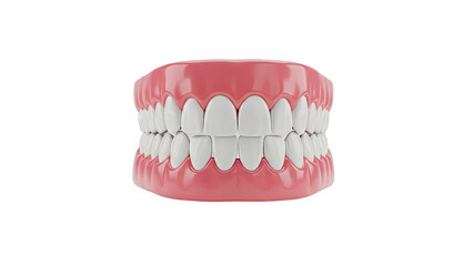 Obraz premium Close-up of Realistic Dental Dentures on a White Background