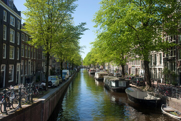 Beautiful cityscape view of Amsterdam featuring a long canal lined with lush green trees and traditional boats resting along the water. Classic Amsterdam architecture rises behind the canal. Tourism