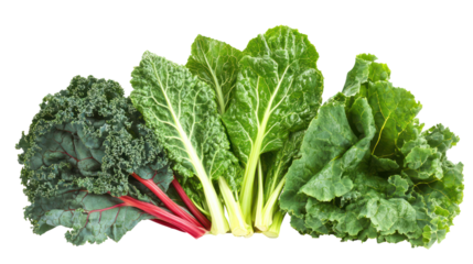 Collard greens swiss chard and kale three leafy winter crops on transparent background