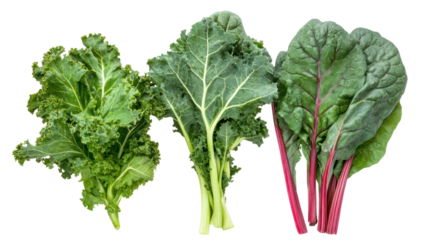 Collard greens swiss chard and kale three leafy winter crops on transparent background