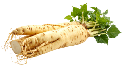Close-up image presents light-tan root vegetables with attached green leaves, showing intricate textures, a cut end, and fine rootlets