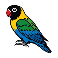 Obraz premium Edged Lovebird
