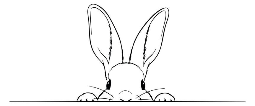 Hand drawn line art illustration of a cute rabbit depicting peeking over a border for Easter