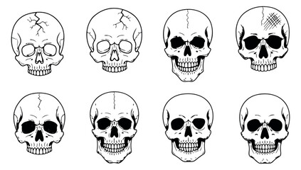 Hand drawn line art skull set featuring various human skull designs for halloween, anatomy, and horror themes
