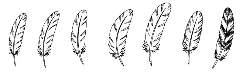 Obraz premium Hand drawn line art feather set featuring various detailed bird plumes for nature-themed designs