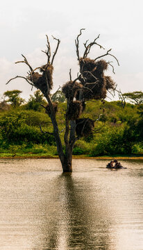 Kruger National Park