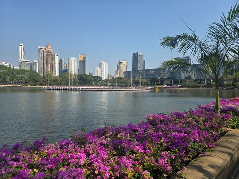 The Park Lake before Bangkok&rsquo;s Skyline