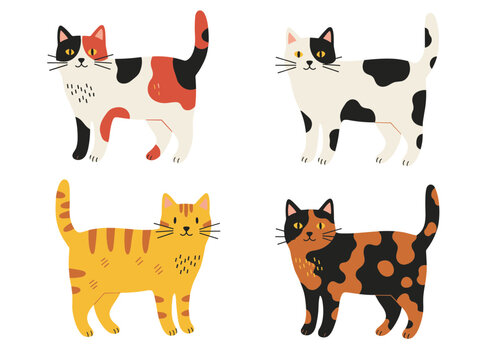 Beautiful Domestic Cat Breed Set with Calico Tortoiseshell Tabby and Bicolor Fur Patterns Standing Isolated Vector Illustration