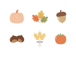 Autumn Harvest Nature Collection Featuring Pumpkin Leaves Acorn Wheat Chestnuts and Persimmon Fruit Icons for Fall Season