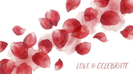 8 march womens day scattered red rose petals falling gently creating a soft dreamy effect with a bright studio shot on white and transparent