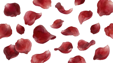 8 march womens day red rose petals scattered across the scene, creating a soft and romantic effect with varying depths on white and transparent